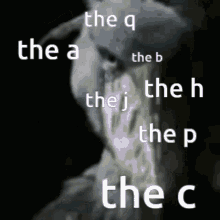 the h the p the j shoebill smg4