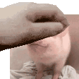 a close up of a person 's face with a hand putting a cookie on it .