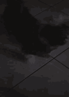 a black dog is laying on a tiled floor in the dark .