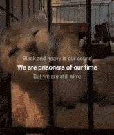 a cat in a cage with the words black and heavy is our sound and we are prisoners of our time but we are still alive