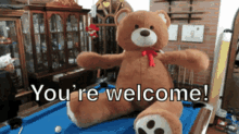 Youre Welcome Bear GIF - Youre Welcome Bear Giant GIFs