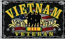Vietnam Veteran GIF