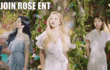 Rose Twice GIF - Rose Twice More And More GIFs