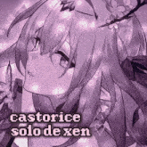 a picture of a girl with the name castorice solo de xen