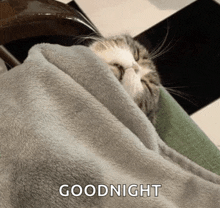 a cat wrapped in a blanket with the words goodnight written on the bottom