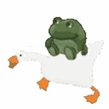 frog back