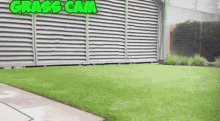 Typical Gamer Touch Grass GIF