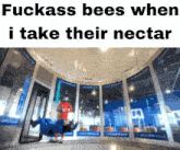 a picture of a person flying through the air with the words " fuckass bees when i take their nectar " above them