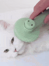 a person is holding a green and white brush in their hand