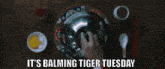 Balming Tiger Balming Tiger Tuesday GIF - Balming Tiger Balming Tiger Tuesday Just Fun GIFs