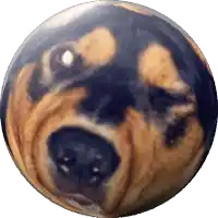a ball with a dog face on it
