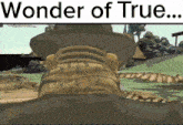 a cartoon of a man in a hat with the words wonder of true on the bottom