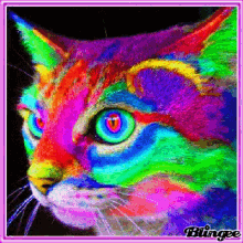 Psychedelic Cat GIF - Psychedelic Cat Colors GIFs