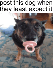 Post This When They Least Expect It Dog GIF - Post This When They Least Expect It Dog Meme GIFs