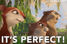It'S Perfect! GIF - The Nut Job2 Nutty By Nature The Nut Job2gifs GIFs