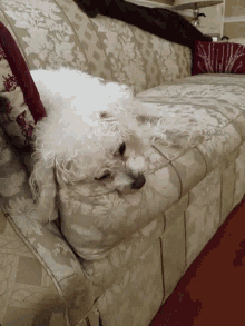 Tired Dog GIF - Tired Dog Cute GIFs