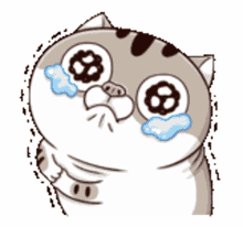 ami fat cat please dont leave sad crying