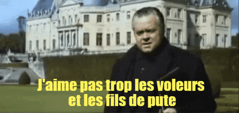 a man stands in front of a castle with the words j'aime pas trop les voleurs et les fils de pute