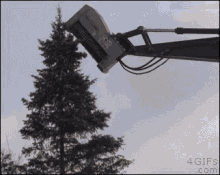 Tree Shredder GIF - Tree Shredder Pine GIFs