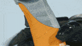 a close up of a black and orange object with a blue sky in the background
