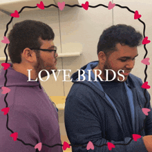 Love Bird Romantic GIF - Love Bird Romantic Pride GIFs
