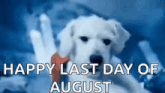 a picture of a dog with the words happy last day of august
