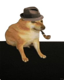 a dog wearing a hat and holding a pipe .