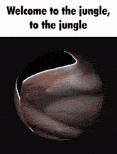 a picture of a planet with the words welcome to the jungle