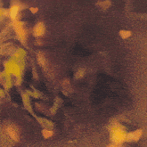a blurry picture of a person with hearts and the word ch on the bottom