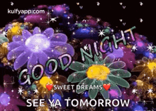 Good Night - Glowing Flowers Good Night Messages GIF