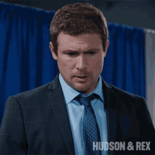 Whoa Charlie Hudson GIF - Whoa Charlie Hudson Hudson And Rex GIFs