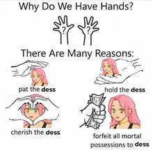 why do we have hands there are many reasons pat the dess cherish the dess hold the dess