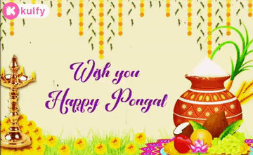 Tamil Pongal Wishes GIFs | Tenor