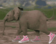 Elephant Running GIF - Elephant Running GIFs