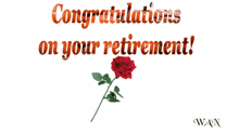 a congratulations on your retirement card with a rose