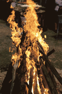 lori celebrations bonfire lohri burning