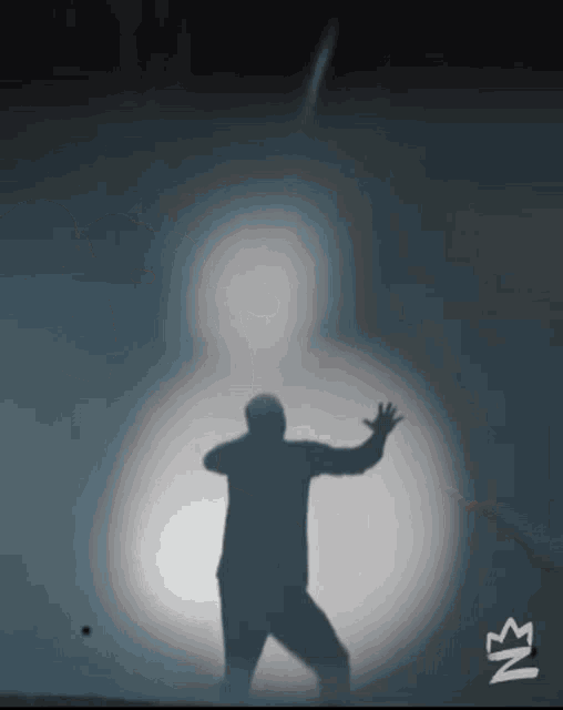 Shadow Funny GIF - Shadow Funny Hands Up - Discover & Share GIFs