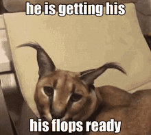 Flop Flopado GIF - Flop Flopado Flopou - Discover & Share GIFs