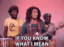 If You Know What I Mean Robert Nesta Marley GIF - If You Know What I Mean Robert Nesta Marley Bob Marley GIFs