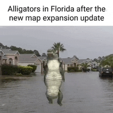 an alligator is standing in the middle of a flooded neighborhood in florida .