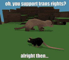 a computer generated image of a rat with the caption " oh you support trans rights alright then "