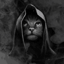 Black Cat Wizard Cat GIF - Black Cat Wizard Cat Witch Cat GIFs