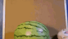 Fumo Watermelon GIF - Fumo Watermelon Bounce GIFs
