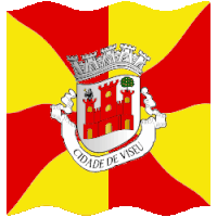 a red and yellow flag with the word cidade de viseu on it