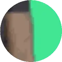 a pixel art drawing of a circle with a green border