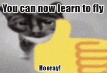 Cat Thumbs Up For Gmod Server GIF