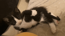 a black and white kitten is laying on a bed