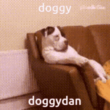 Doggydan GIF - Doggydan GIFs