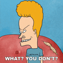 What You Don'T Beavis GIF