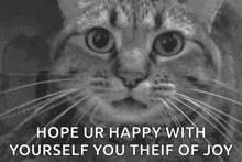 Cat Angry GIF - Cat Angry Hiss GIFs